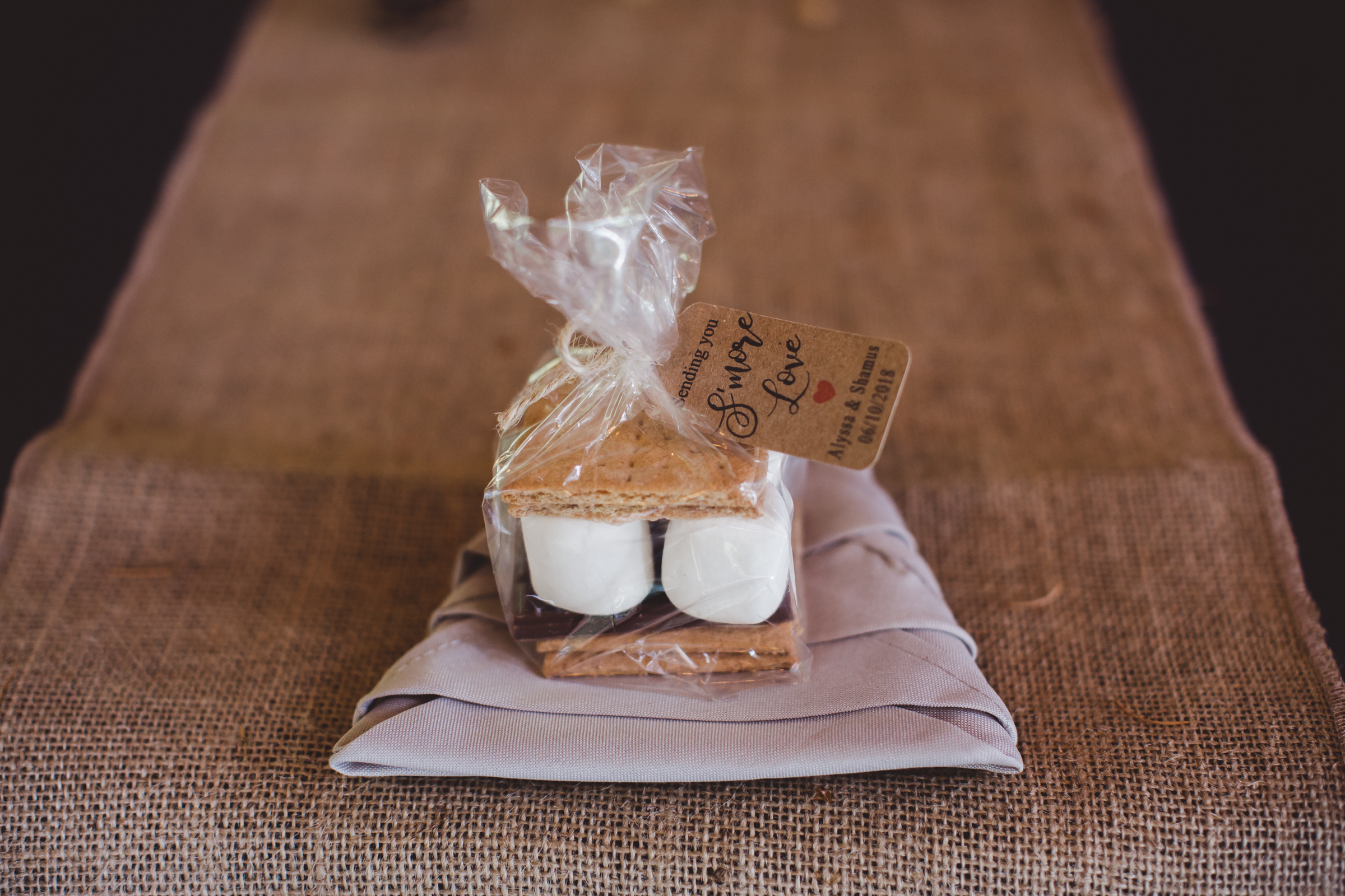 Smore Party Favors